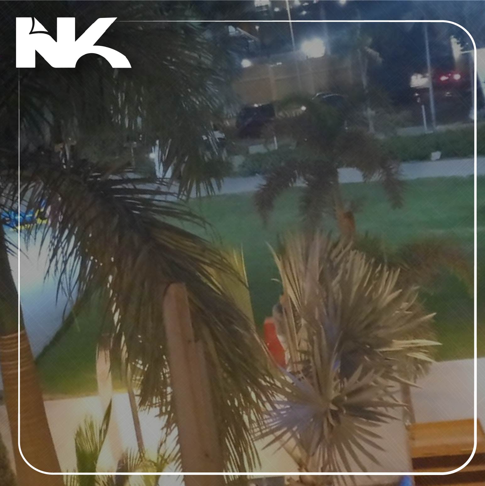 الصور الشركة-06